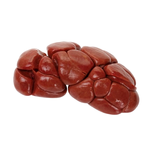 Beef Kidney