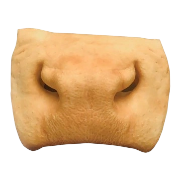 Beef Snout